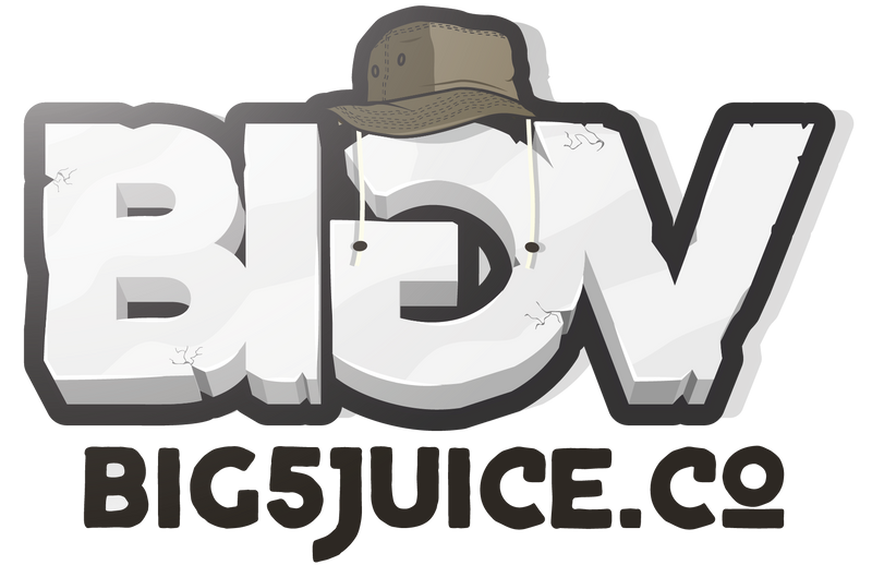 Big 5 Juice 100ml - Fruity Series