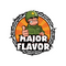 Major Flavour 100ml